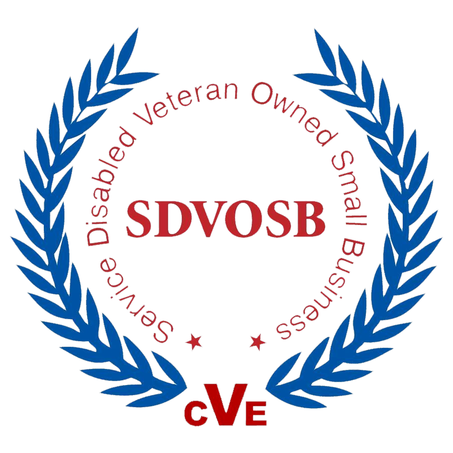 SDVOSB - Service Disabled Veteran Owned Small Business